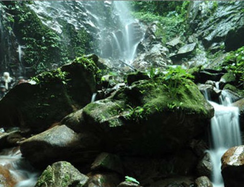 Belum-Temengor Tropical Rainforest Masterplan