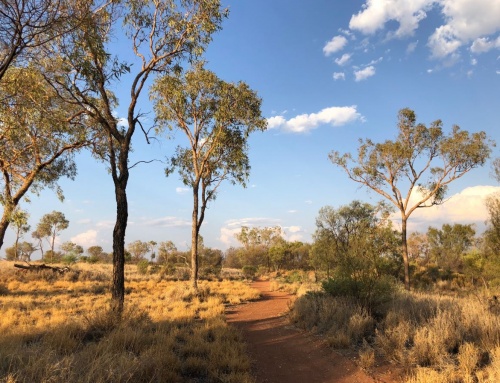 East MacDonnell/Plenty Highway Visitor Experience Master Plan