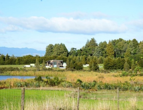 NZ National Wetland Centre Feasibility Study