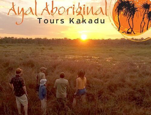 Ayal Aboriginal Tours Kakadu Business Marketing and Operations Plan