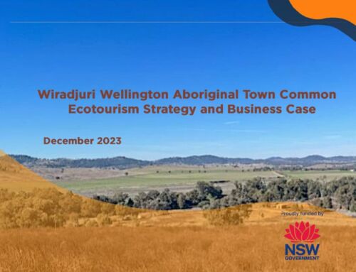 Wiradjuri Wellington Aboriginal Town Common