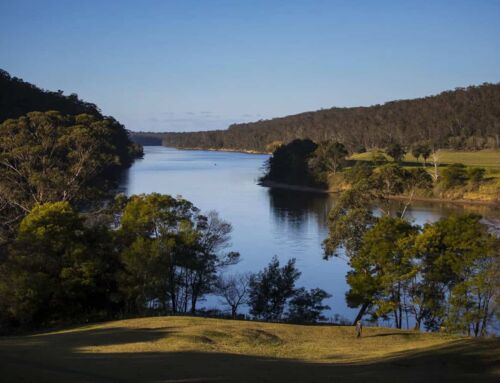 Yuin Ngura Custodians Bundanon Tourism Business Planning