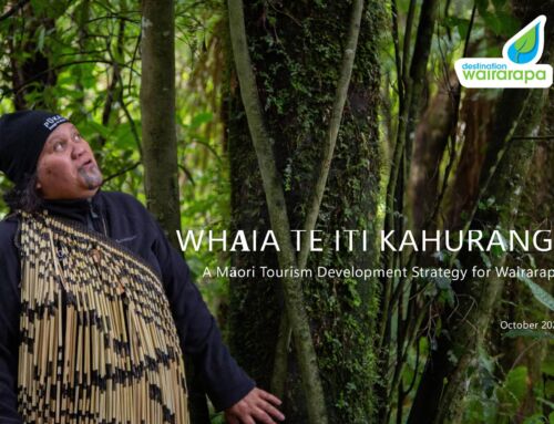 Wairarapa Māori Development and Implementation Strategy
