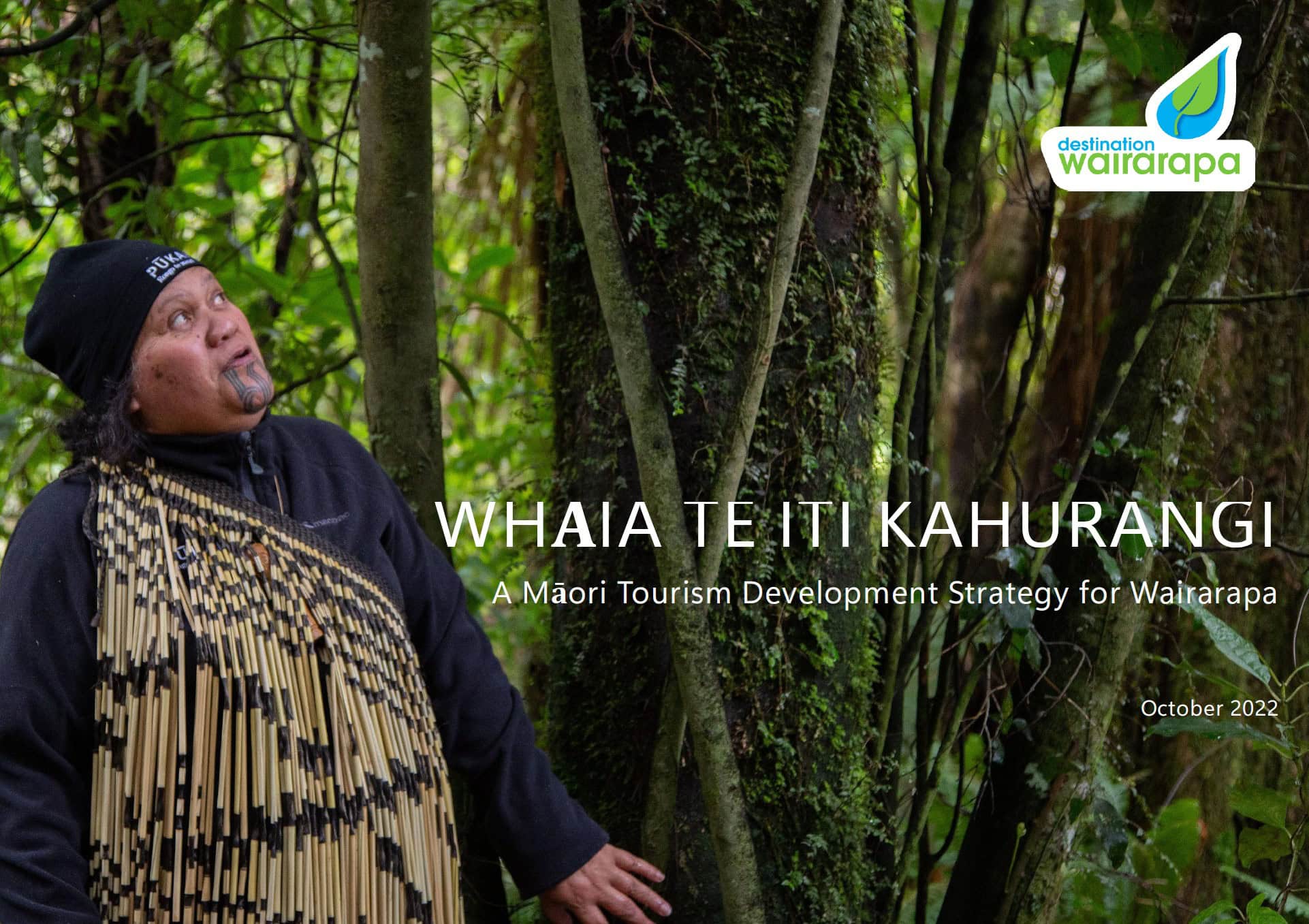 Wairarapa Māori Development and Implementation Strategy