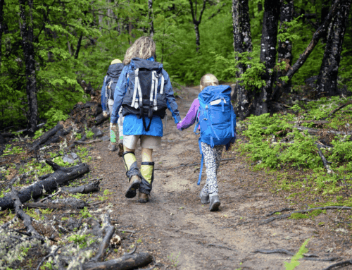 NZ’s Tourism Roadmap a Step Forward — But Growth Needs Grounding