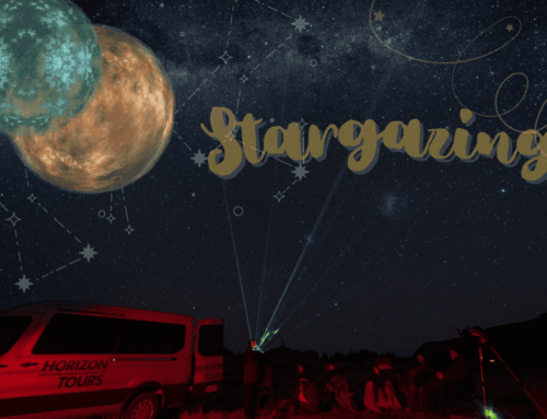 Looking Up: How the Night Sky Is Bringing Us Back to Earth
