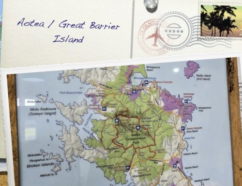 Insights from Aotea / Great Barrier Island